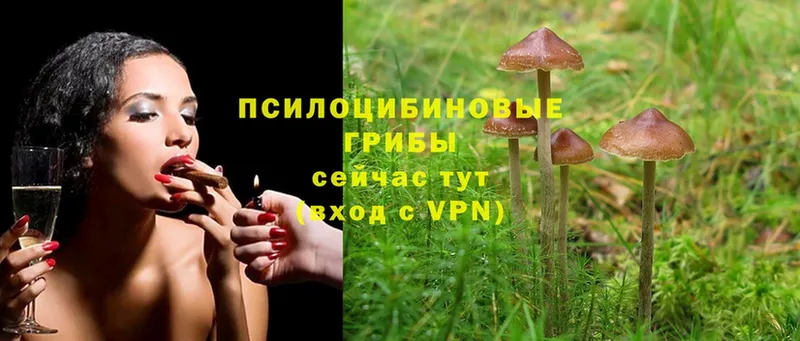 Галлюциногенные грибы Cubensis  ОМГ ОМГ ссылка  Изобильный 